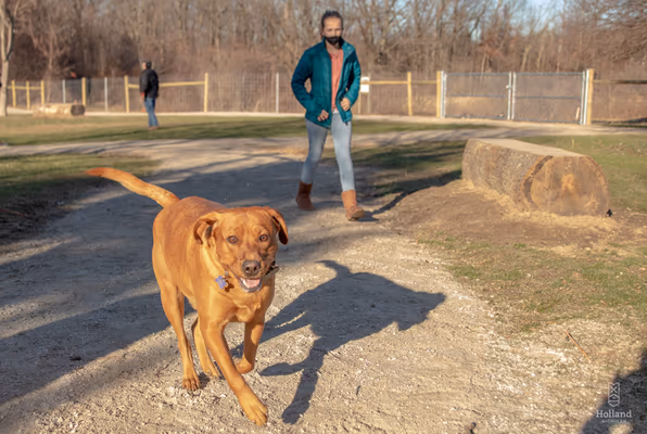 Dog Park at Van Raalte